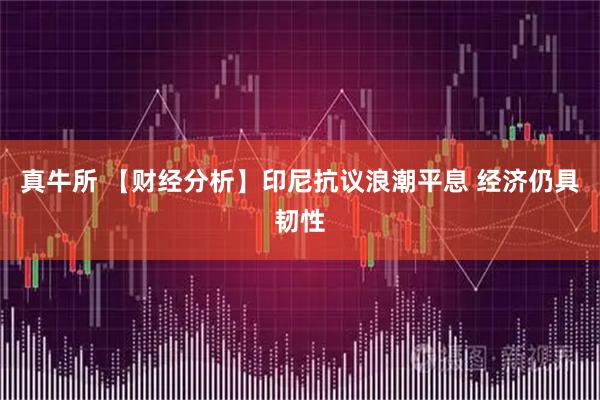 真牛所 【财经分析】印尼抗议浪潮平息 经济仍具韧性
