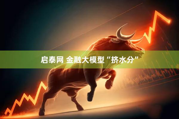 启泰网 金融大模型“挤水分”