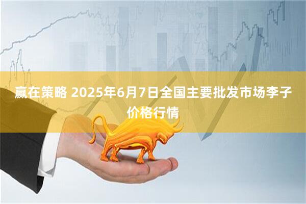 赢在策略 2025年6月7日全国主要批发市场李子价格行情
