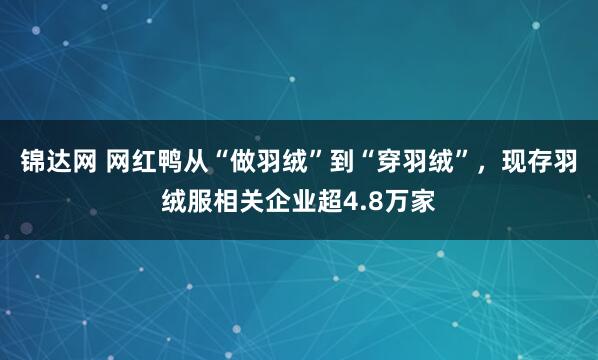 锦达网 网红鸭从“做羽绒”到“穿羽绒”,现存羽绒服相关企业超4.8万家