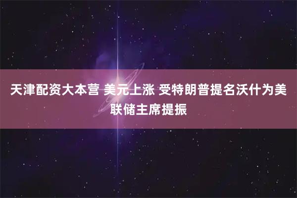 天津配资大本营 美元上涨 受特朗普提名沃什为美联储主席提振