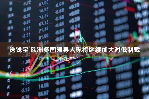 送钱宝 欧洲多国领导人称将继续加大对俄制裁