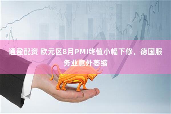 通盈配资 欧元区8月PMI终值小幅下修，德国服务业意外萎缩