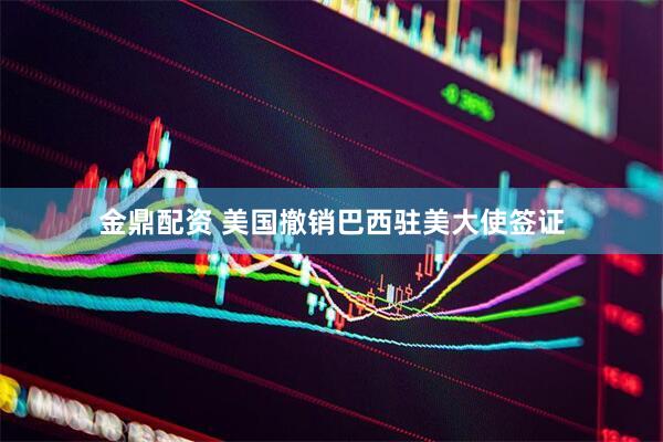 金鼎配资 美国撤销巴西驻美大使签证